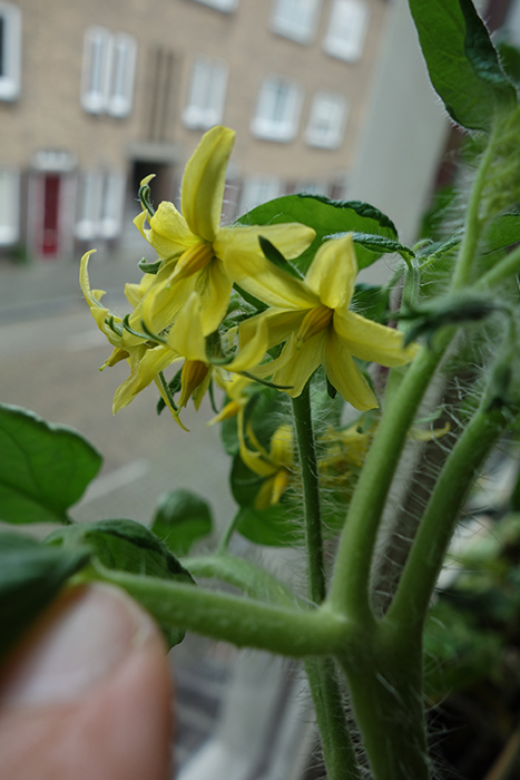 Test bericht 7